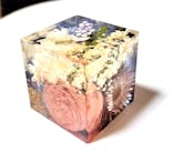 ずこうしつ〜sugamo〜に投稿された画像（2025/8/18）