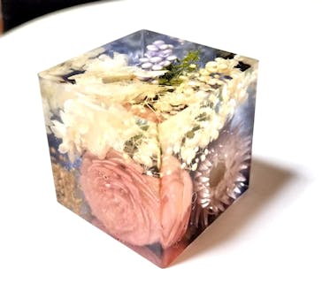 ずこうしつ〜sugamo〜に投稿された画像（2025/8/18）