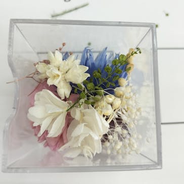 ずこうしつ〜sugamo〜に投稿された画像（2025/8/18）