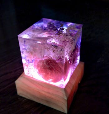 ずこうしつ〜sugamo〜に投稿された画像（2025/8/18）