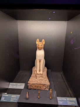 ACN ラムセス大王展 ファラオたちの黄金に投稿された画像（2025/8/18）