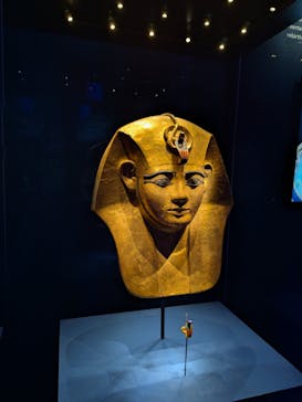 ACN ラムセス大王展 ファラオたちの黄金に投稿された画像（2025/8/18）