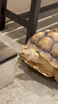 アニタッチ 東京ドームシティに投稿された画像（2025/8/18）