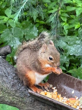 那須どうぶつ王国に投稿された画像（2025/8/18）