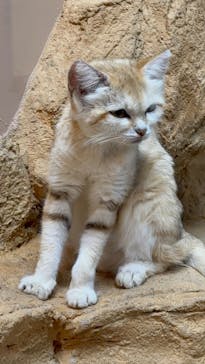 那須どうぶつ王国に投稿された画像（2025/8/18）