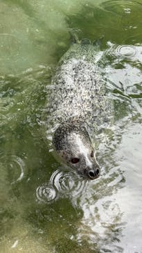 那須どうぶつ王国に投稿された画像（2025/8/18）