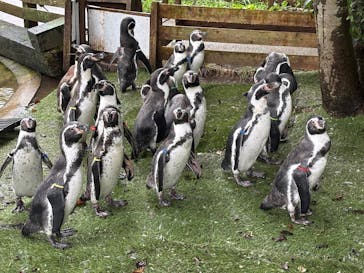 那須どうぶつ王国に投稿された画像（2025/8/18）