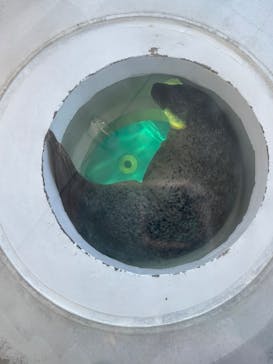 しながわ水族館に投稿された画像（2025/8/18）