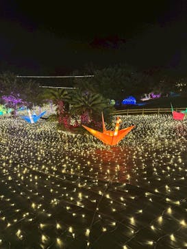 伊豆高原グランイルミに投稿された画像（2025/8/18）