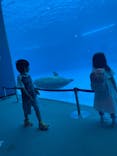 名古屋港水族館に投稿された画像（2025/8/19）