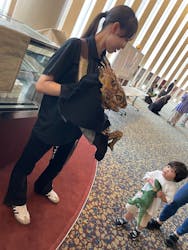 リアル恐竜ショー 恐竜パーク　＠神戸国際会館こくさいホールに投稿された画像（2025/8/18）