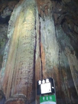 秋芳洞に投稿された画像（2025/8/18）