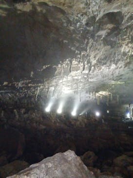 秋芳洞に投稿された画像（2025/8/18）