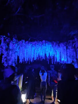 ニジゲンノモリに投稿された画像（2025/8/18）