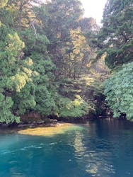 グリランド株式会社に投稿された画像（2025/8/18）