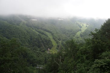 志賀高原ゴールデンラインに投稿された画像（2025/8/18）