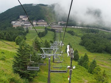 志賀高原ゴールデンラインに投稿された画像（2025/8/18）