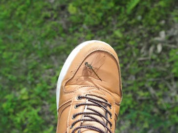 志賀高原ゴールデンラインに投稿された画像（2025/8/18）