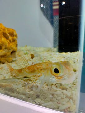 NIFREL（ニフレル）に投稿された画像（2025/8/18）