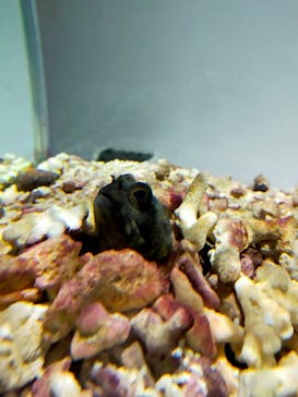 NIFREL（ニフレル）に投稿された画像（2025/8/18）