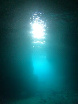 武藤潜水に投稿された画像（2025/8/19）