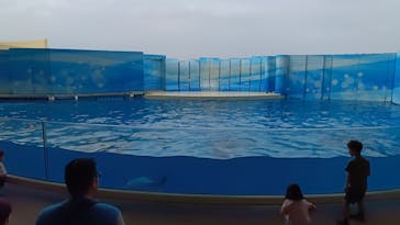 新江ノ島水族館に投稿された画像（2025/8/19）