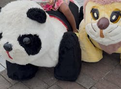 国営ひたち海浜公園プレジャーガーデンに投稿された画像（2025/8/19）