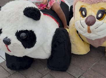 国営ひたち海浜公園プレジャーガーデンに投稿された画像（2025/8/19）