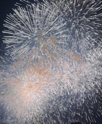 熱海  伊豆山港 第10喜久丸に投稿された画像（2025/8/19）