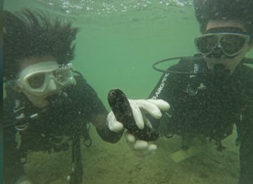 武藤潜水に投稿された画像（2025/8/19）