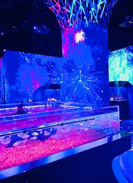 マクセル アクアパーク品川に投稿された画像（2025/8/19）