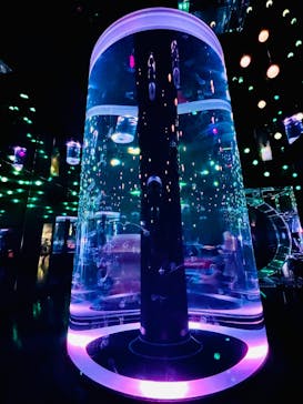 マクセル アクアパーク品川に投稿された画像（2025/8/19）