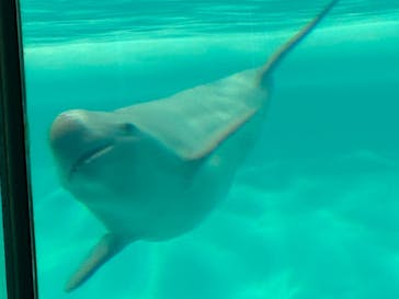 マリンワールド海の中道に投稿された画像（2025/8/19）