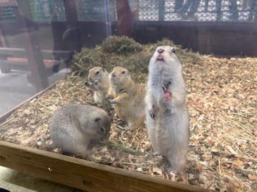 アニタッチ 東京ドームシティに投稿された画像（2025/8/19）