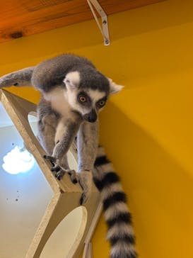 アニタッチ 東京ドームシティに投稿された画像（2025/8/19）