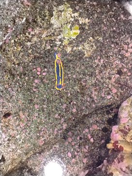 新江ノ島水族館に投稿された画像（2025/8/19）