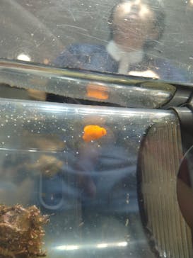 新江ノ島水族館に投稿された画像（2025/8/19）