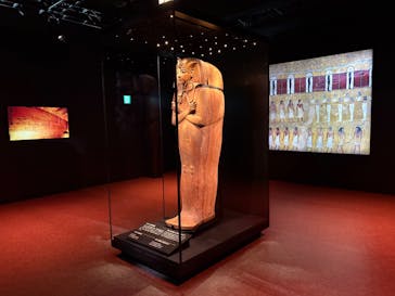 ACN ラムセス大王展 ファラオたちの黄金に投稿された画像（2025/8/19）