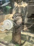 しろとり動物園に投稿された画像（2025/8/19）