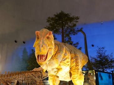 福井県立恐竜博物館に投稿された画像（2025/8/19）