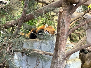 那須どうぶつ王国に投稿された画像（2025/8/19）