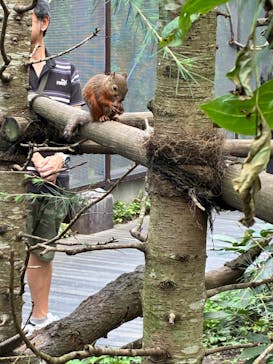 那須どうぶつ王国に投稿された画像（2025/8/19）