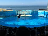 新江ノ島水族館に投稿された画像（2025/8/19）
