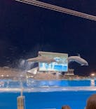 名古屋港水族館に投稿された画像（2025/8/19）