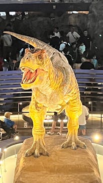 福井県立恐竜博物館に投稿された画像（2025/8/19）