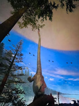 福井県立恐竜博物館に投稿された画像（2025/8/19）