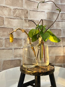 多摩動物公園に投稿された画像（2025/8/19）