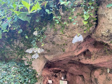 多摩動物公園に投稿された画像（2025/8/19）