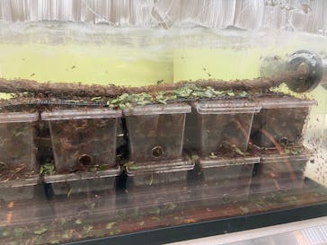 多摩動物公園に投稿された画像（2025/8/19）