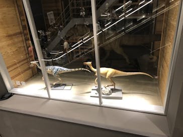 福井県立恐竜博物館に投稿された画像（2025/8/19）